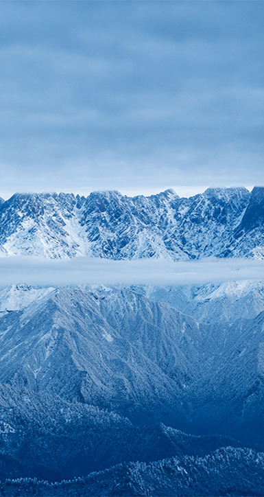 ����������������Ʒ��