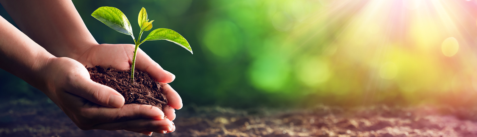 ����������(�й�)������-�й�����